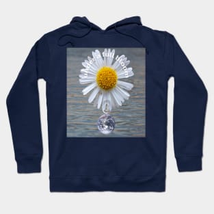 Under A Full Bloom Flower Photography Hoodie
